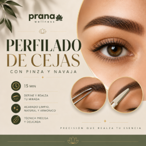 Cejas: Perfilado con Pinza y Navaja (15 min)